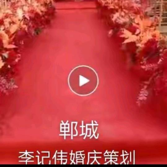 郸城！李记伟婚庆