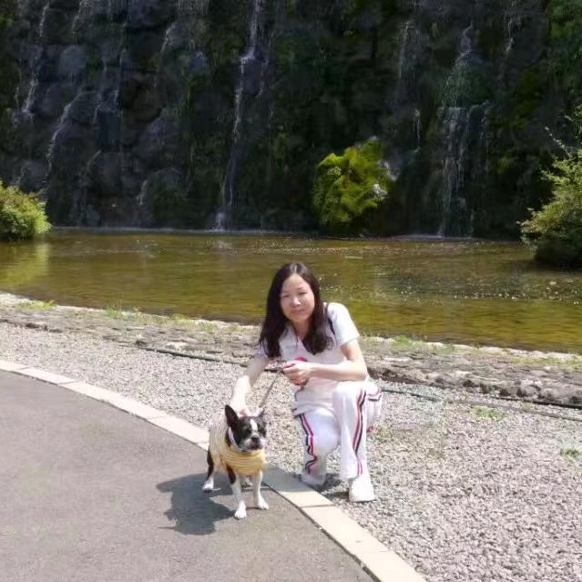 郁金香