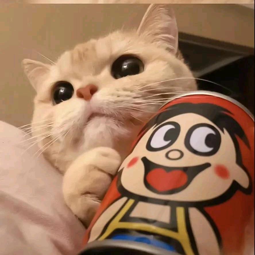 团总不打烊