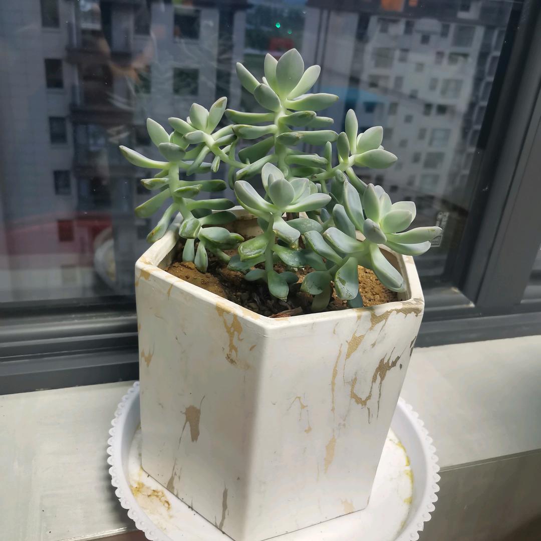 爱由心生