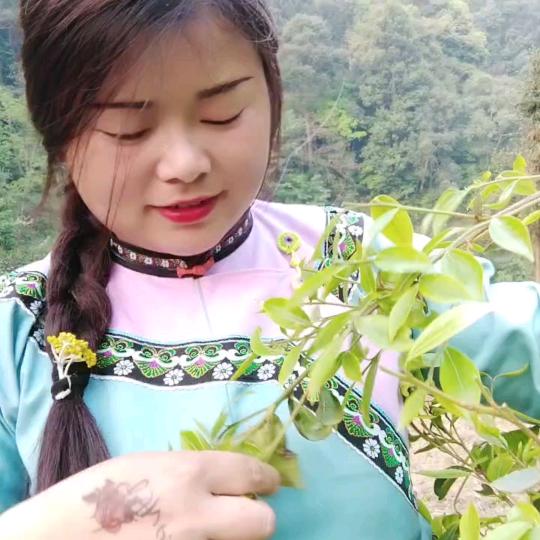 风中找感觉【谢】
