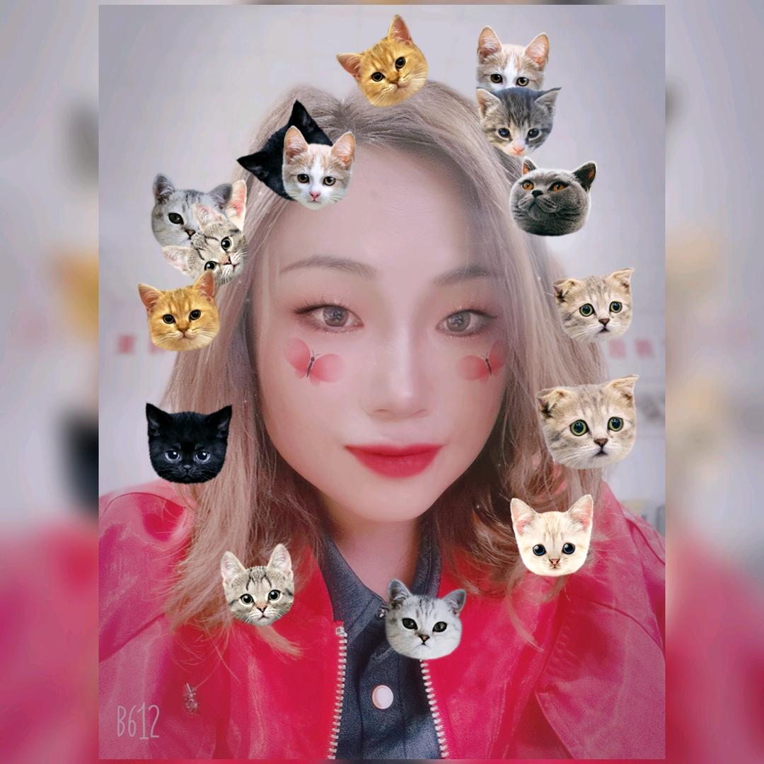 静静