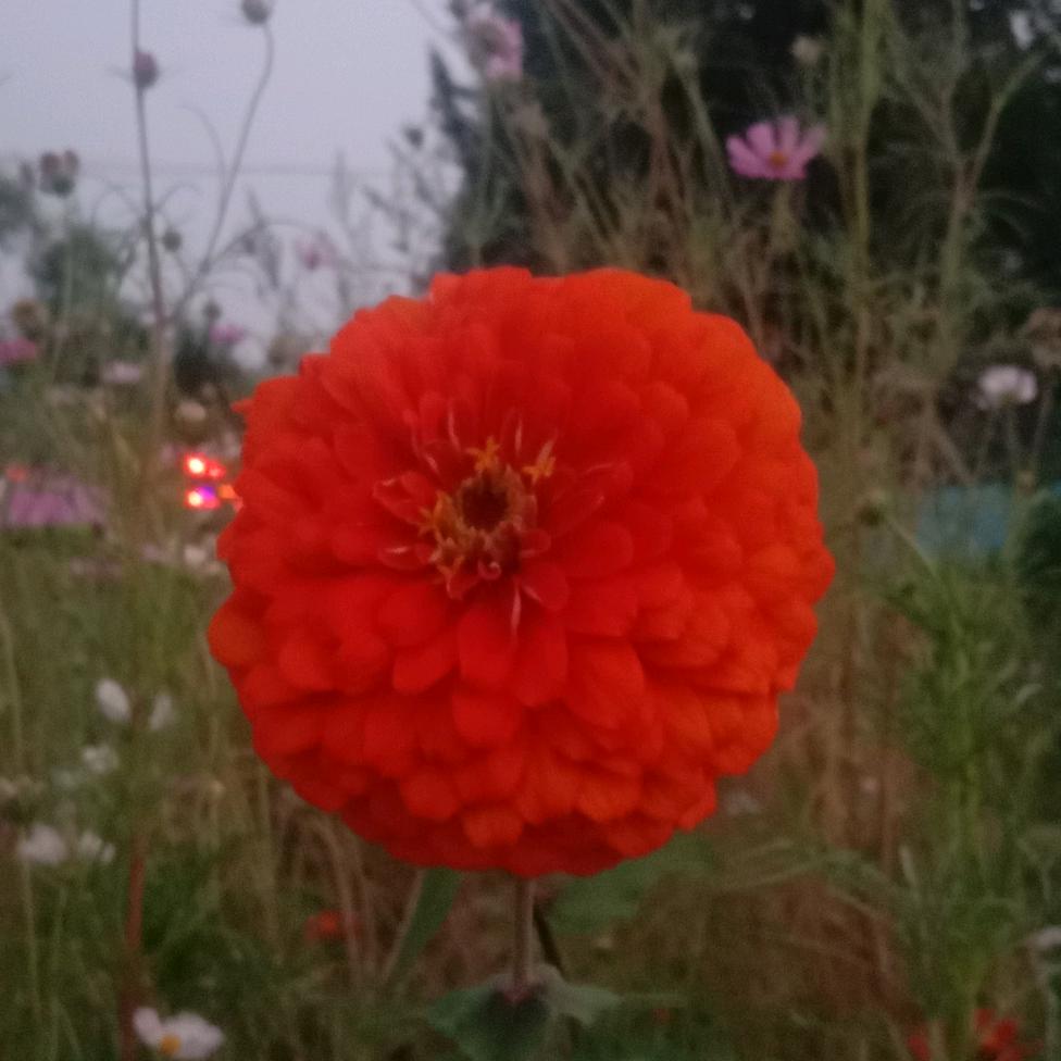 一有你