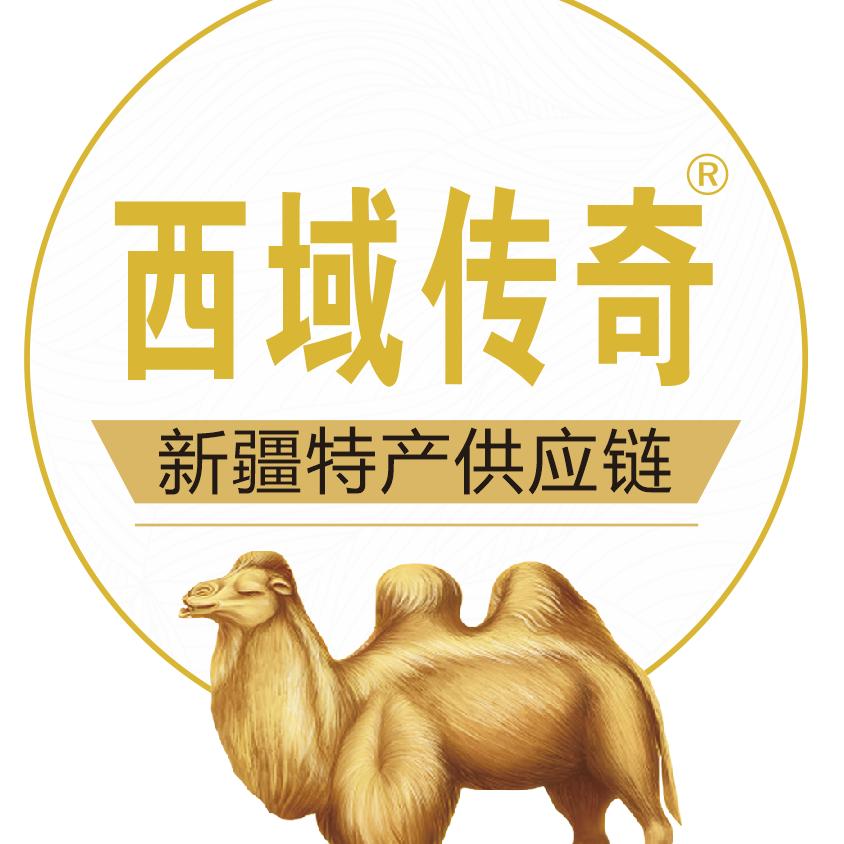 西域传奇-舞动欣疆