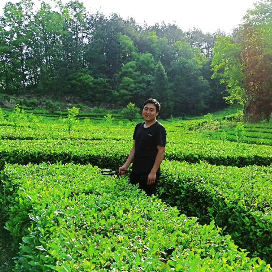 二里茶业汉中绿茶