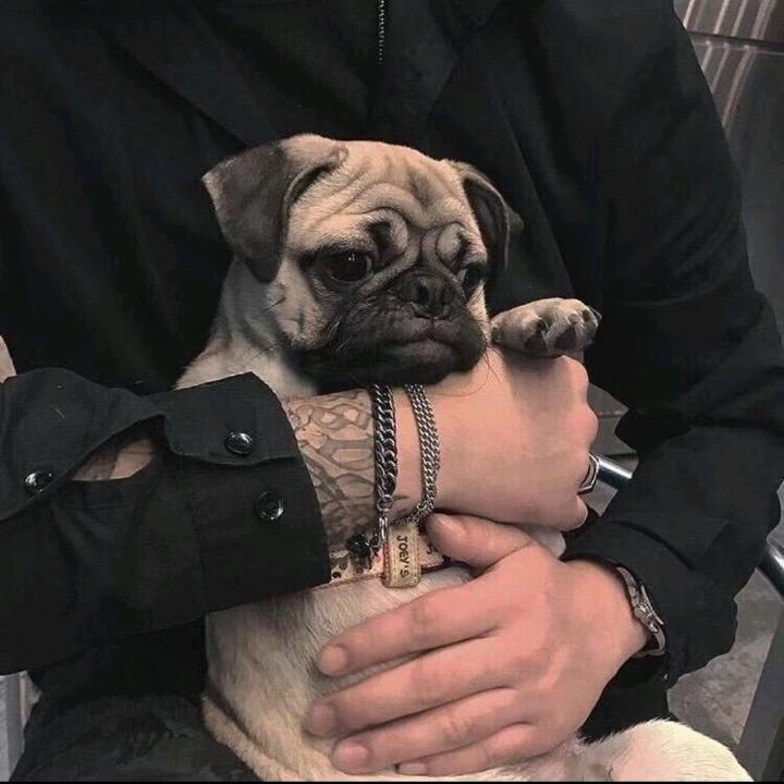 武 安 君 白 起 ❄️  🍭