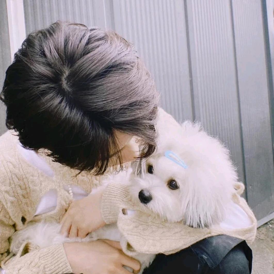 全圆佑夹馍（见过十勤×4版）