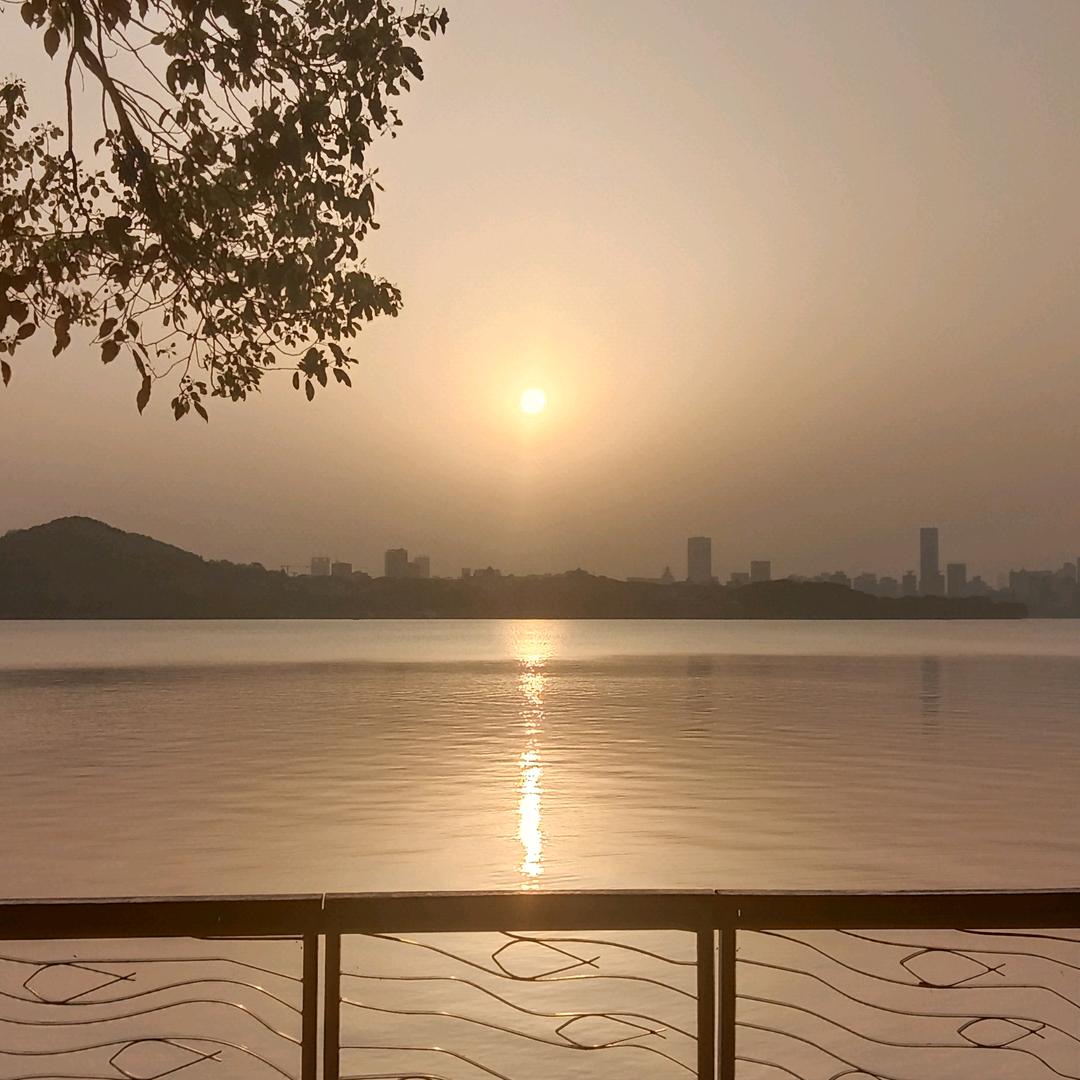 老 默我想吃鱼了