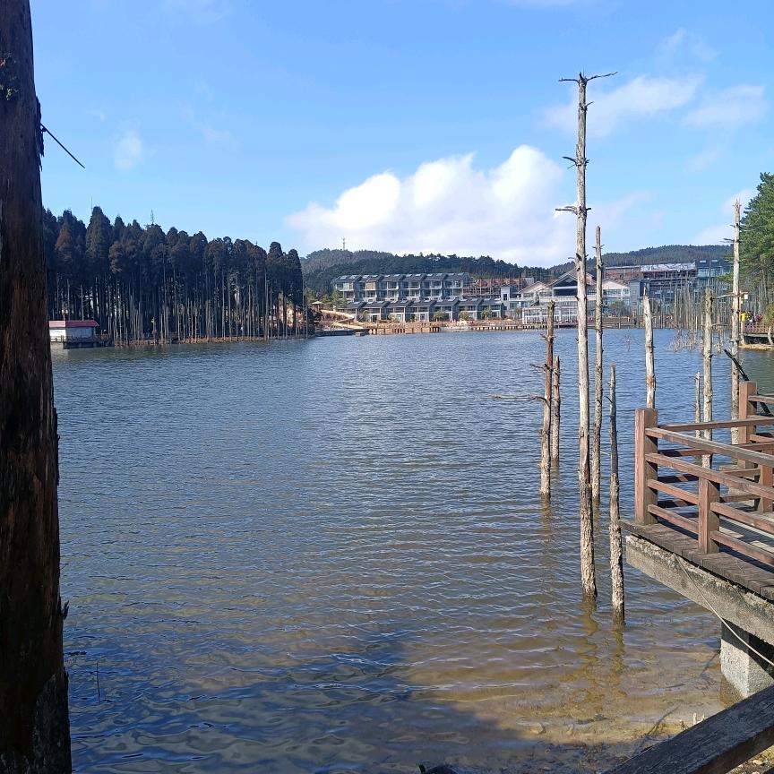 一生漂泊🍎🍎🍎尧尧