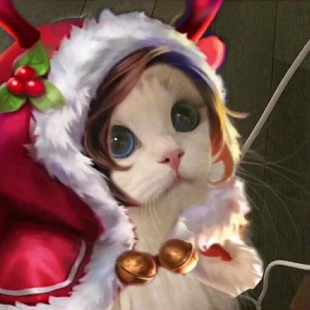 🌈人已🐒虚🌈