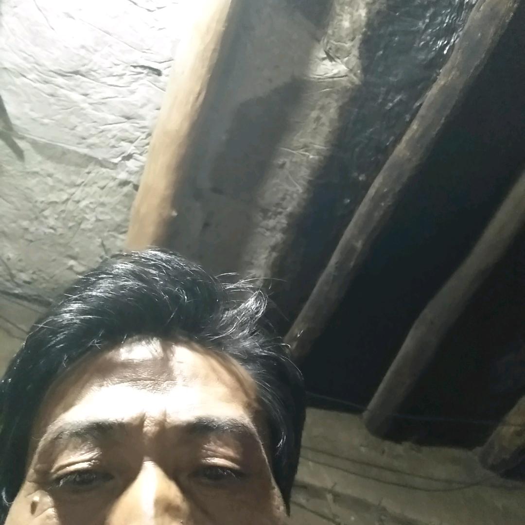 花无百日紅何明俊