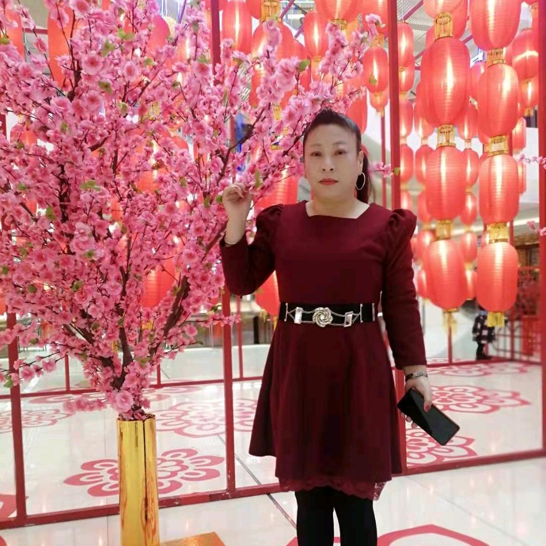 梦雪情缘