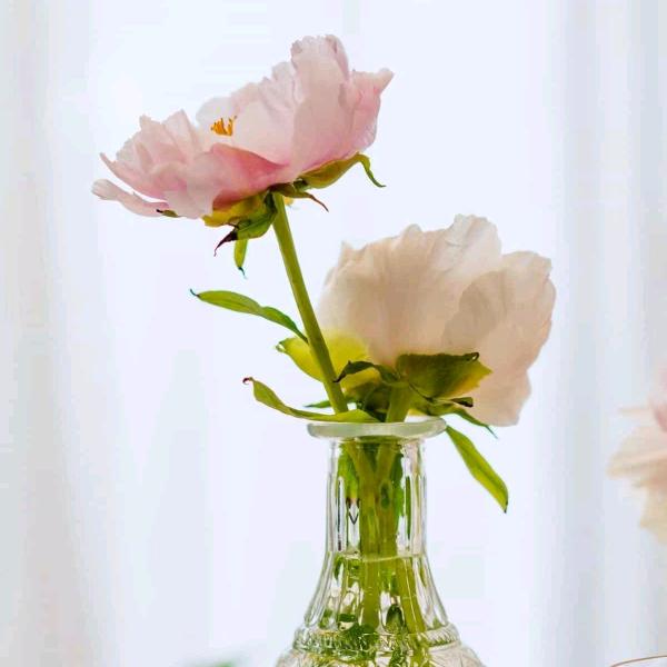 花好月圆