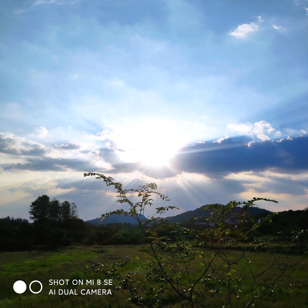 手机用户88811786198