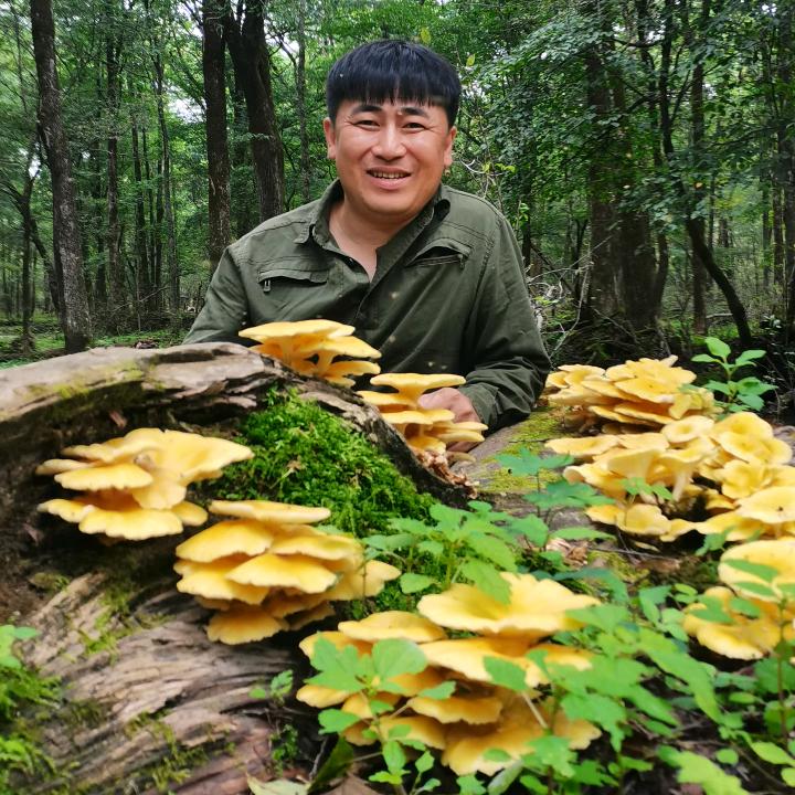 强弟