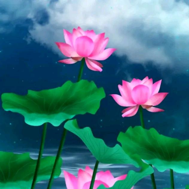 开心快乐每一天