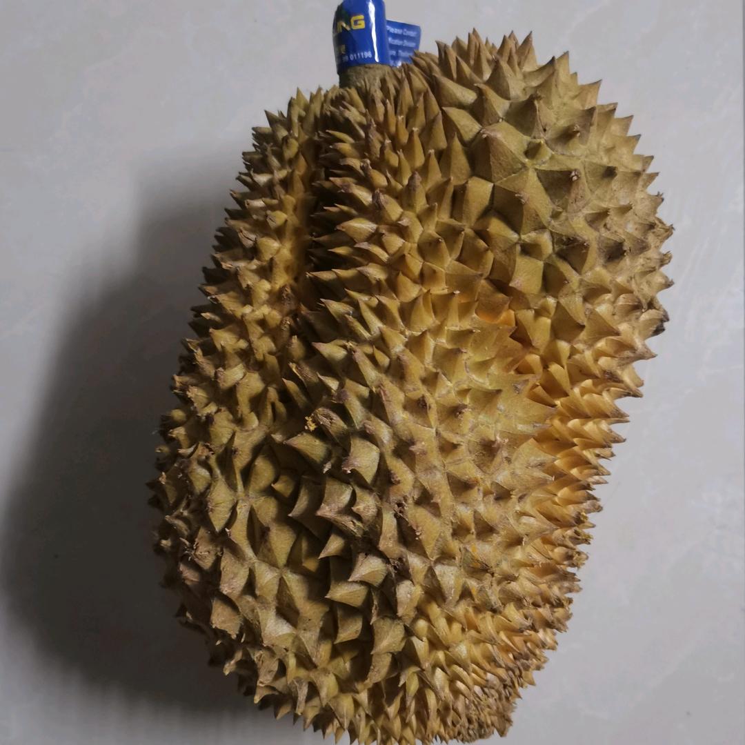 通讯录好友