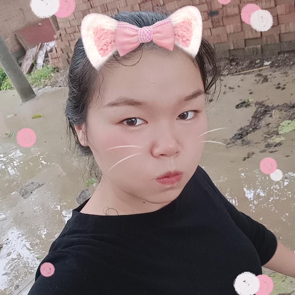 提拉米苏xxx