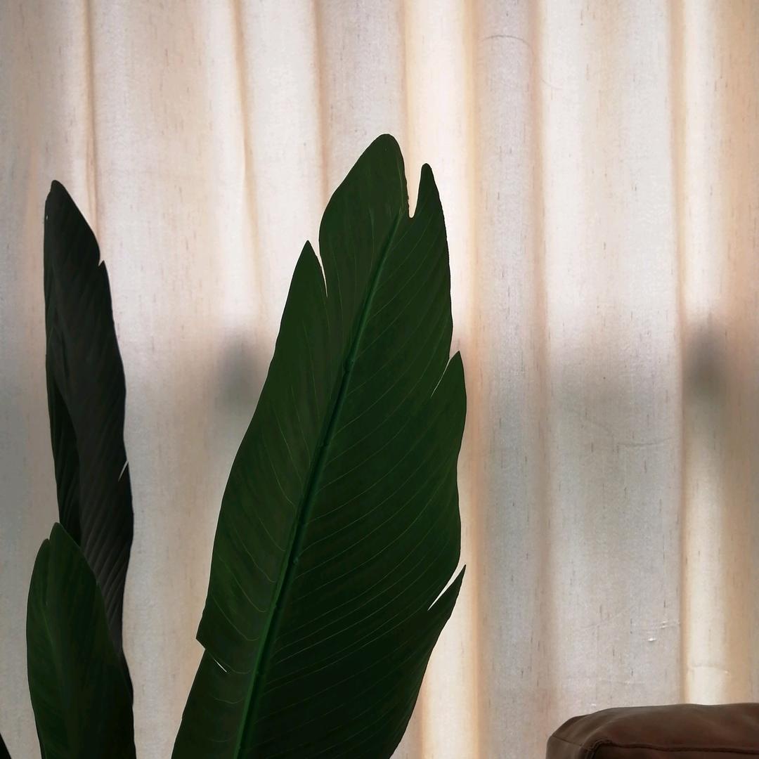 起司小公主🐈@抖音