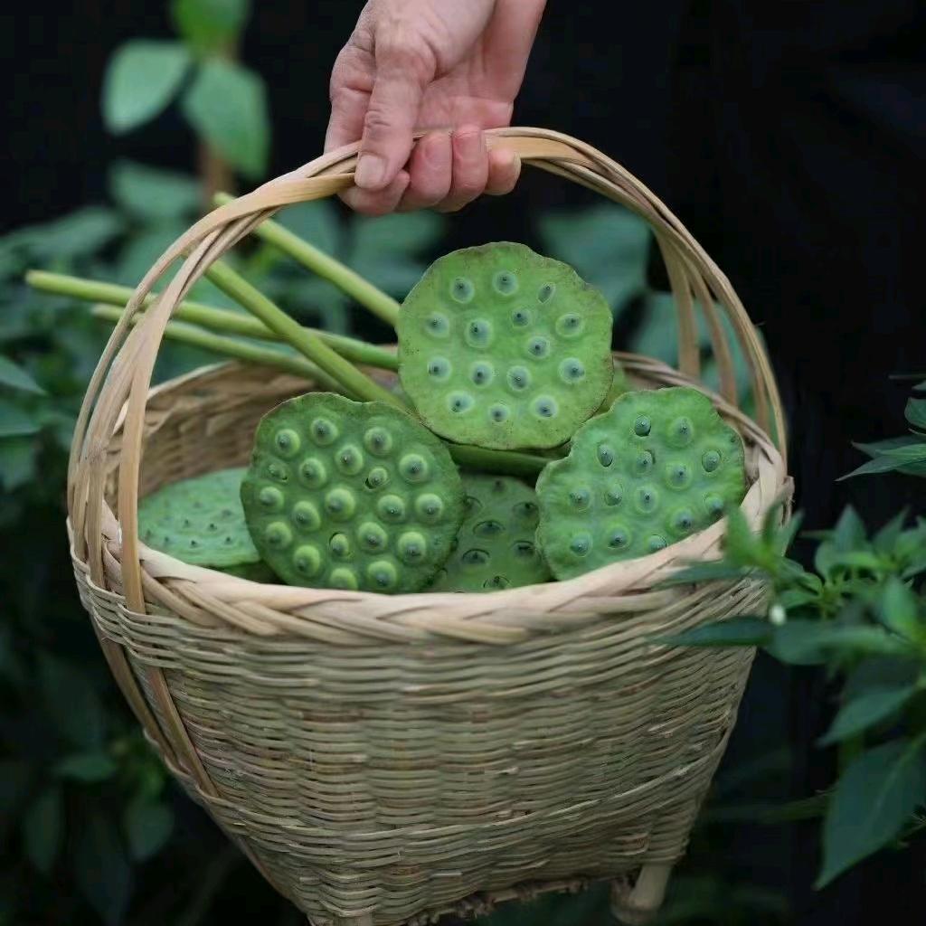 世间有因果,凡事有轮回