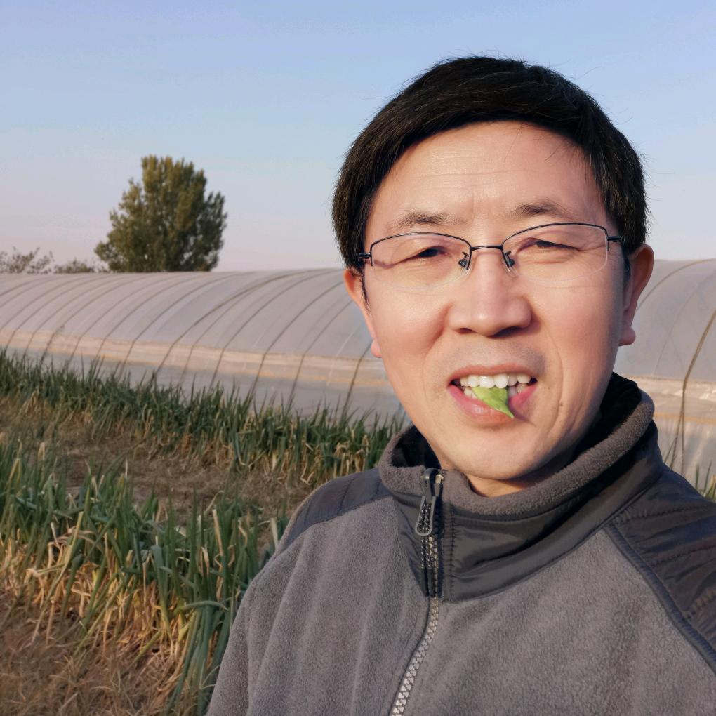 徐木匠的小菜园