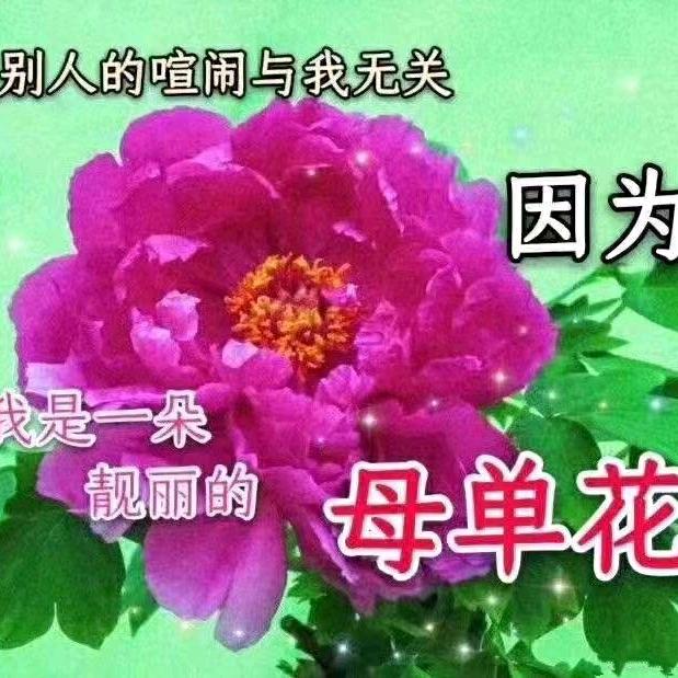 雷太玉