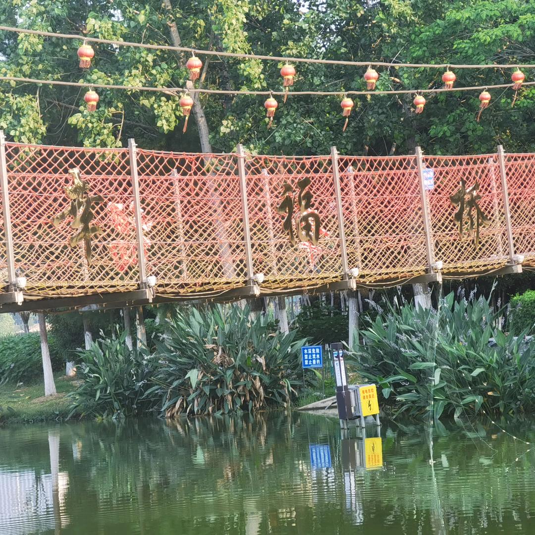 音乐🎶收藏