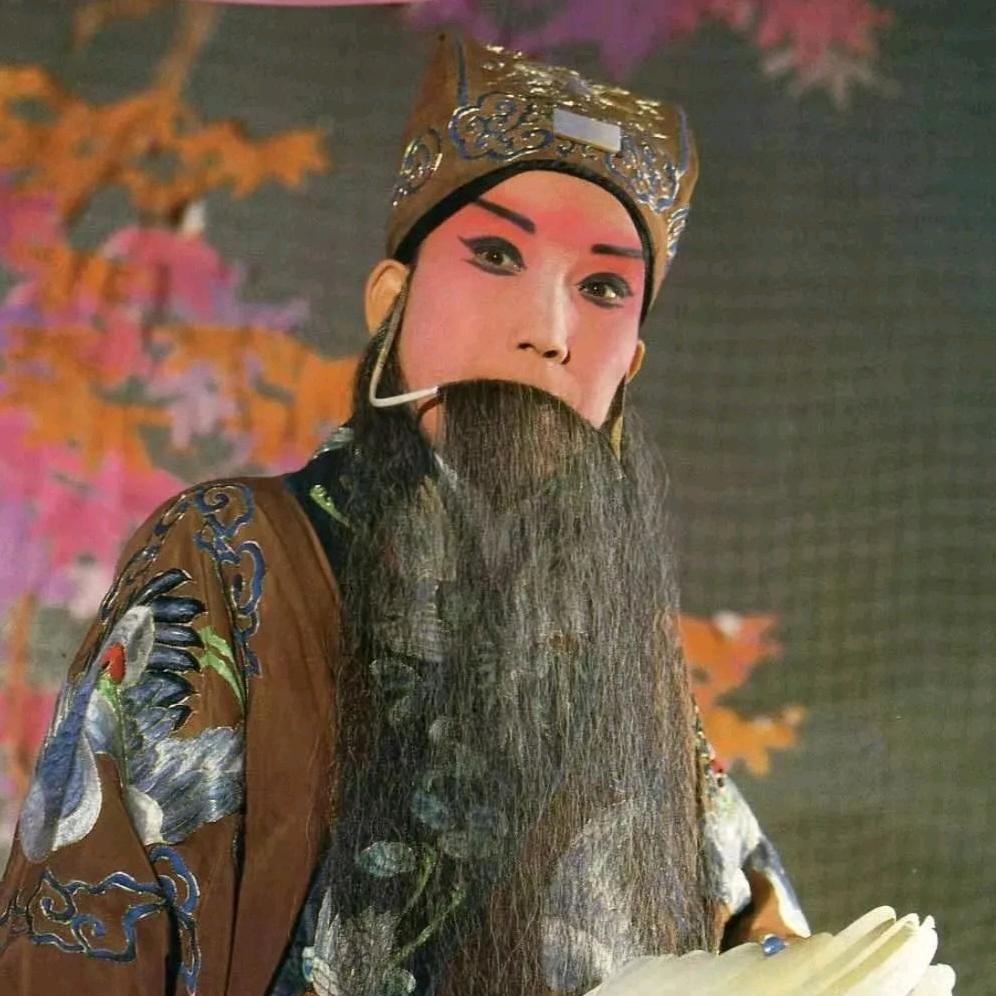 申派诸葛