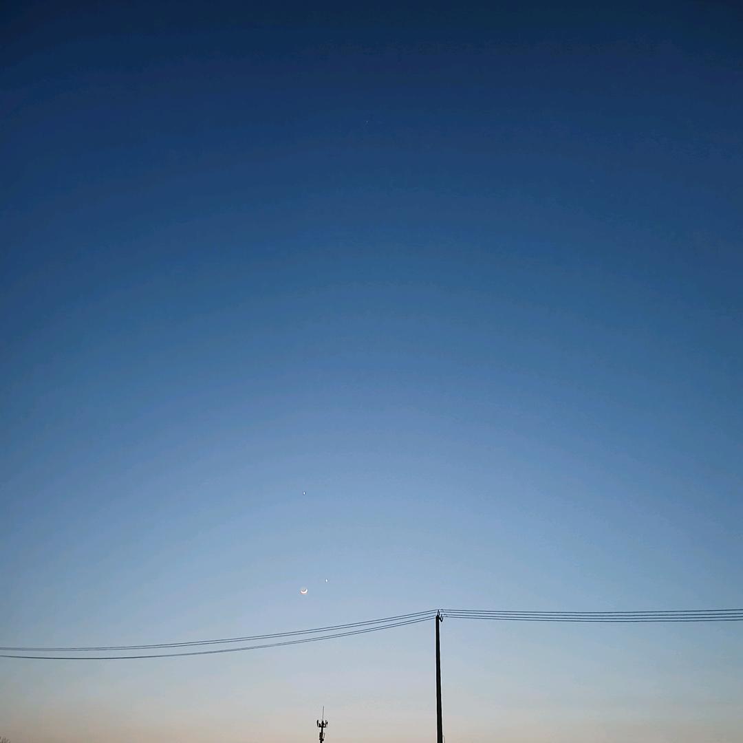 大熊猫