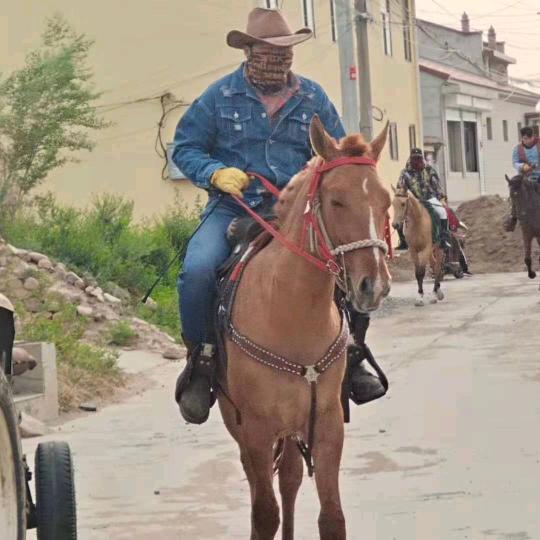 兰顿庄园育马场