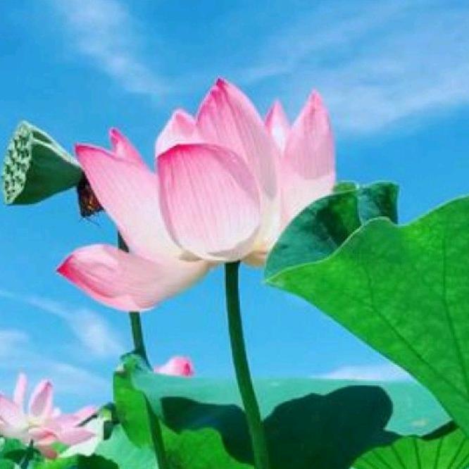 定民之居