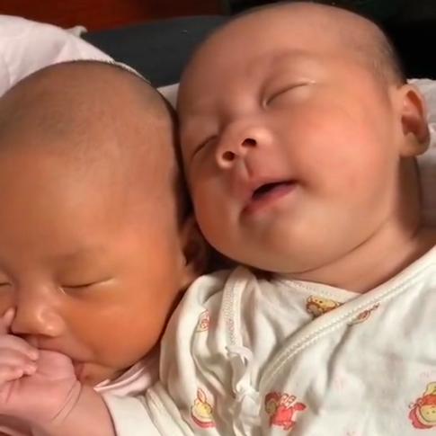 阆中市翠山居餐饮店