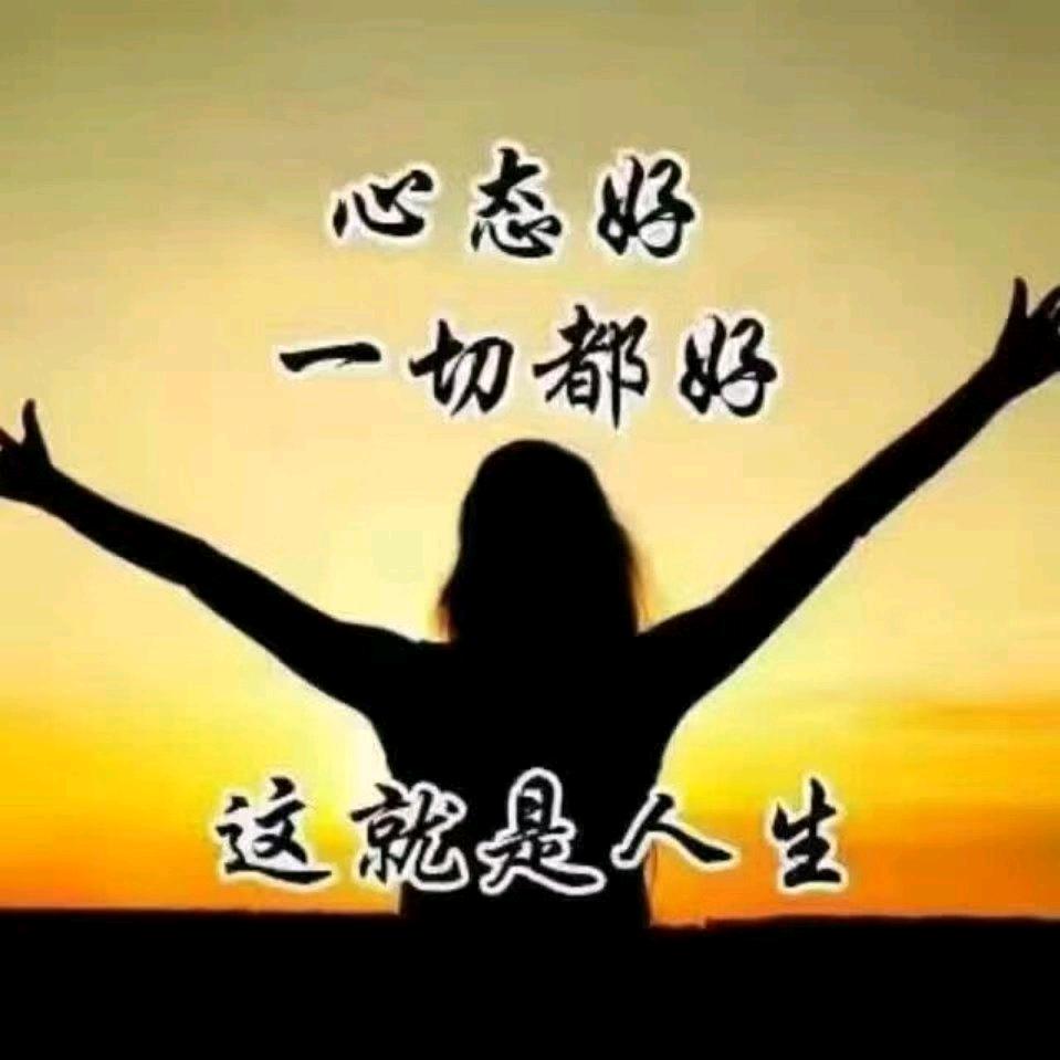 莲姐