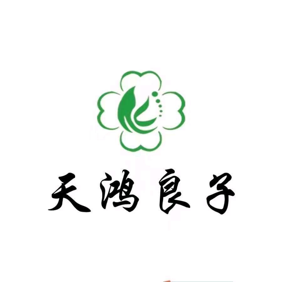 天鸿良子