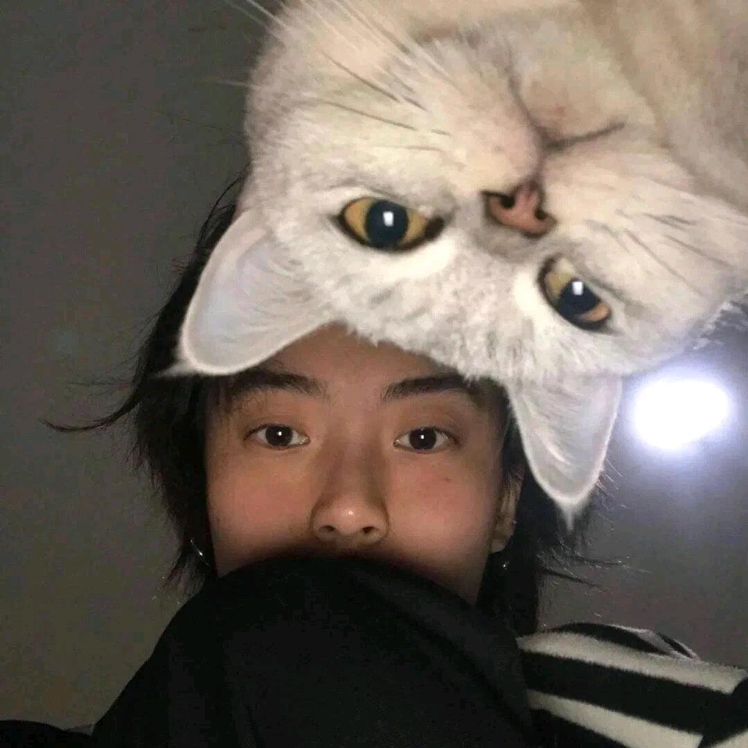 得得得