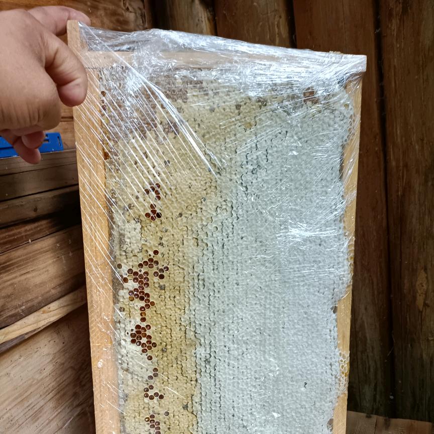 喇叭河～高土司(土蜂蜜)