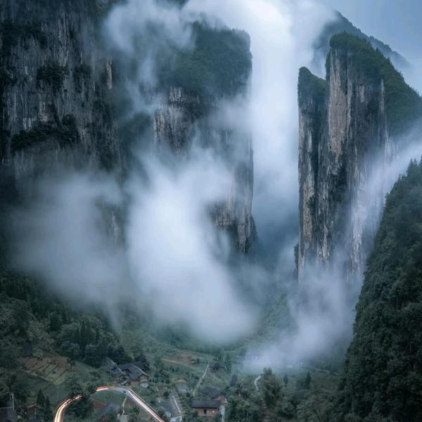 青橙