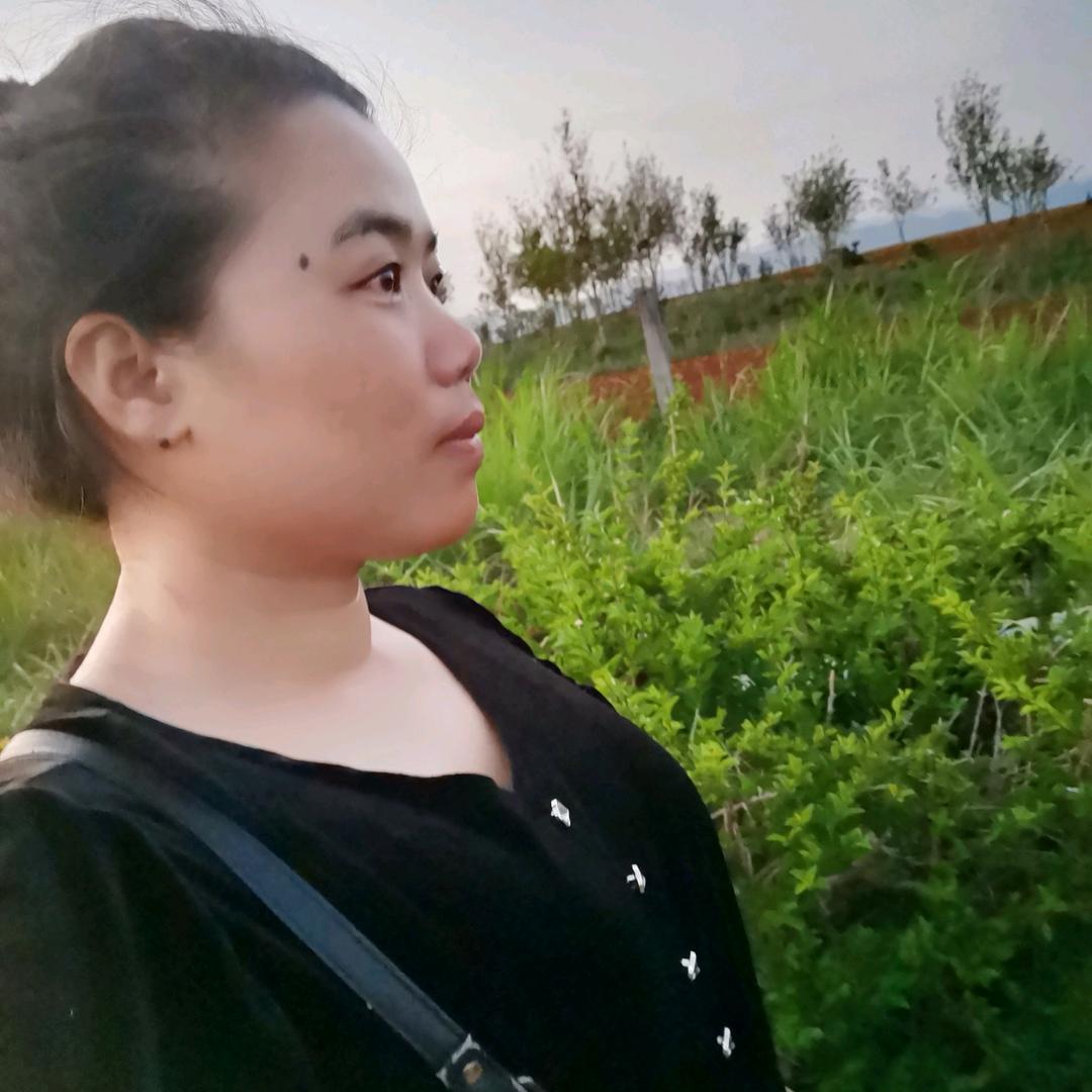 木子李.