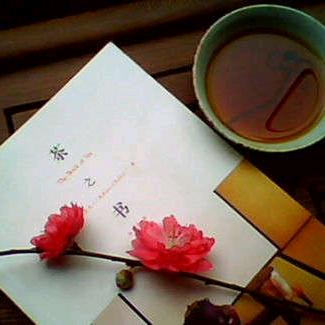 清风月下