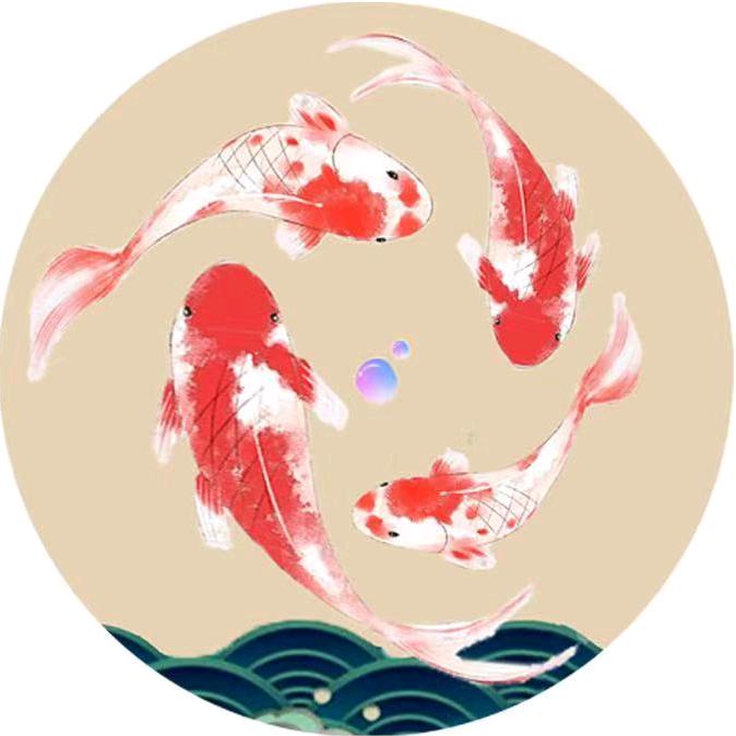 锦鲤2025 爱了🧜🏻‍♀️