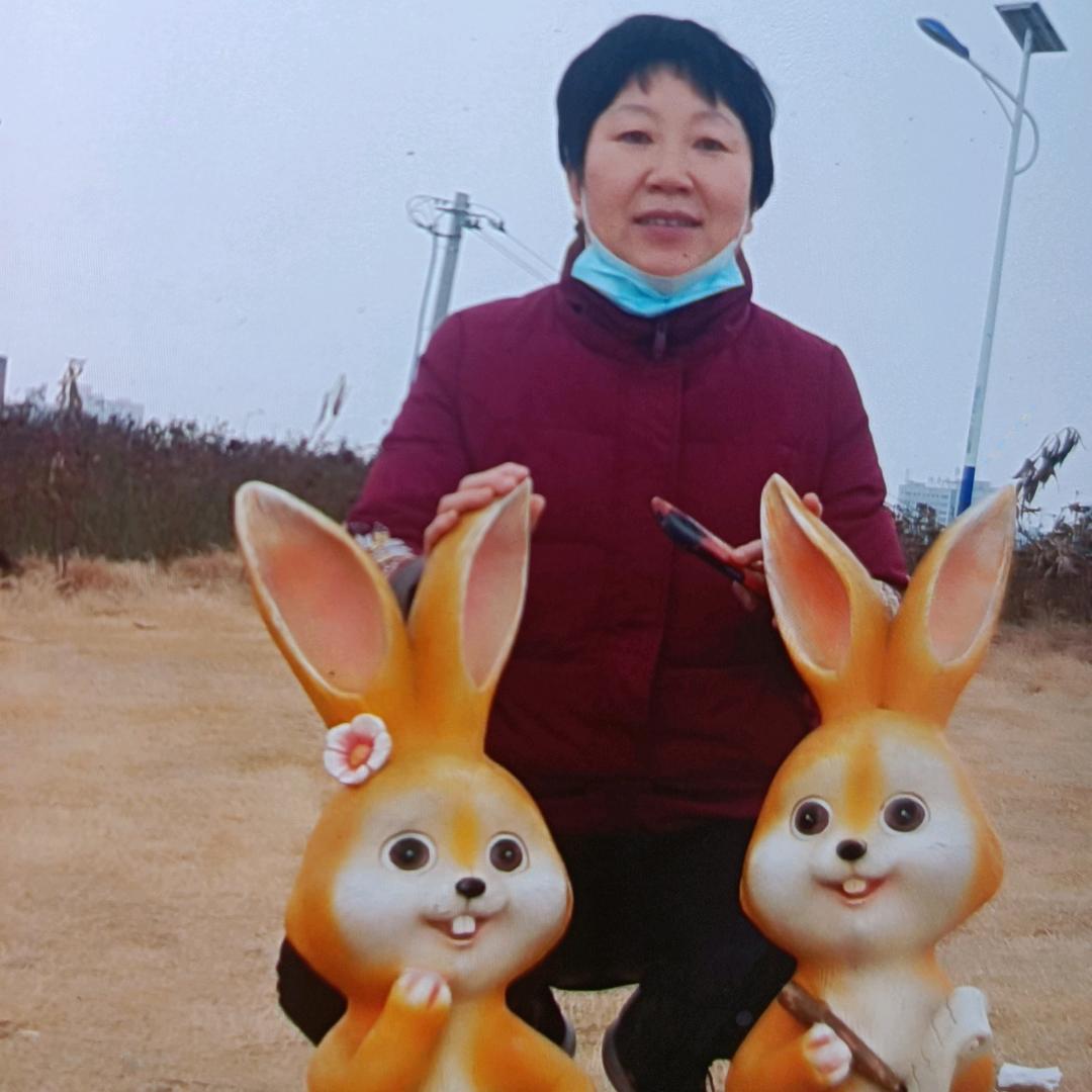虹虹电器