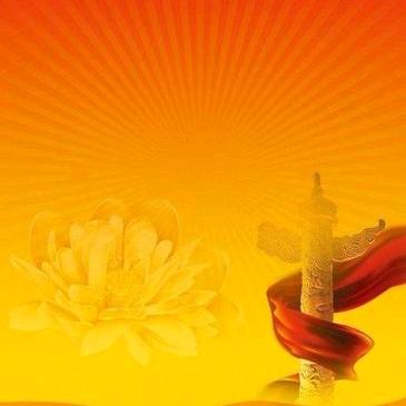 廖雄 大方县阳光猪业