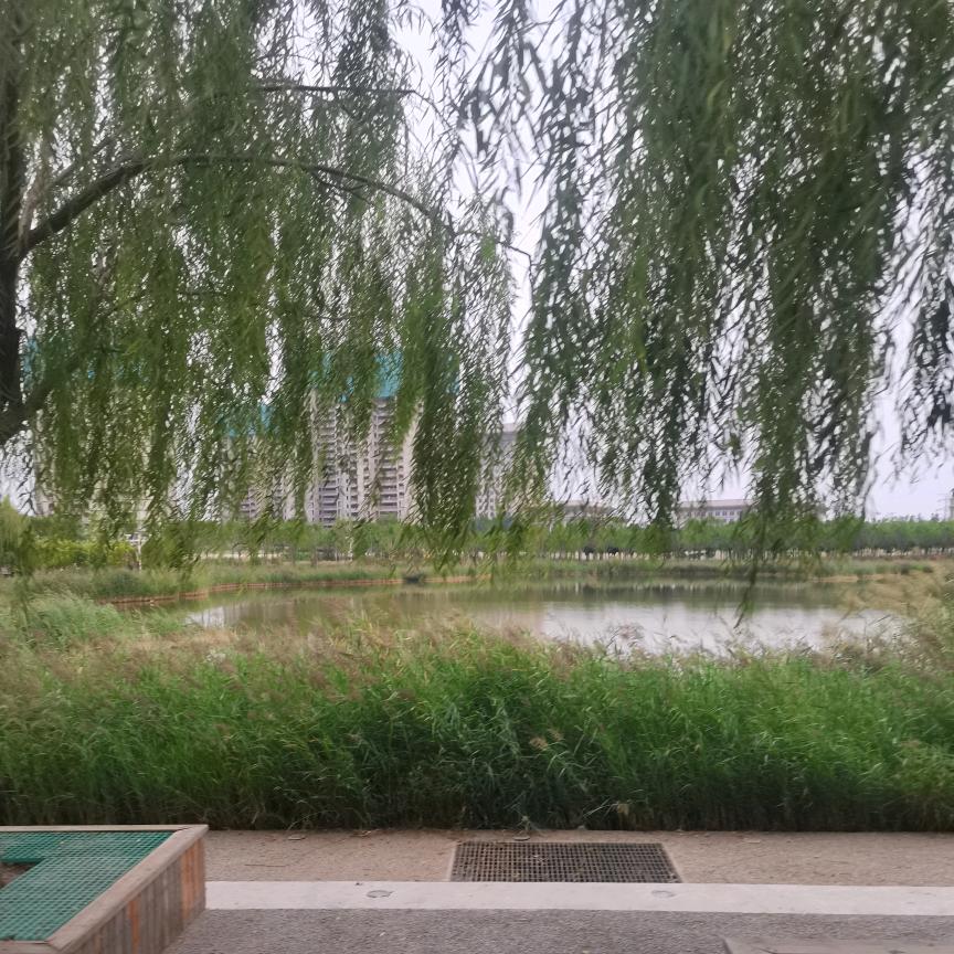 我的梦