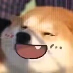 yep猫