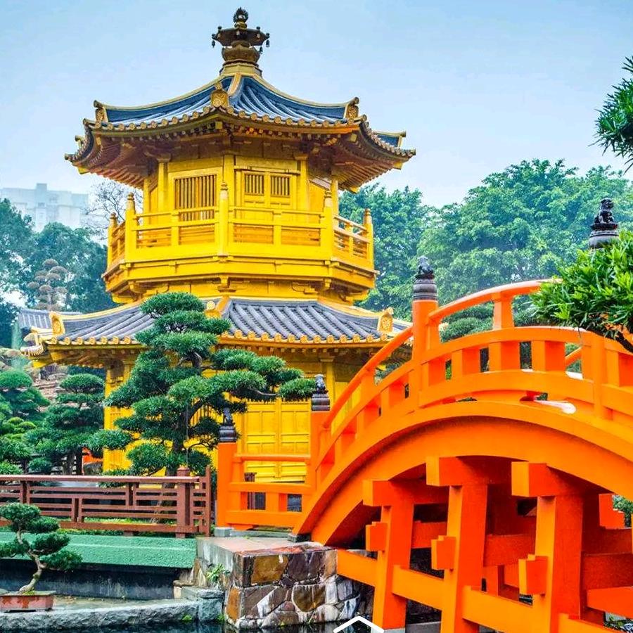 橙子🍊