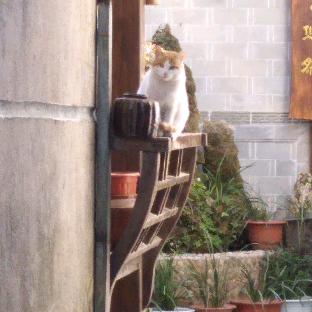 小石头玩户外
