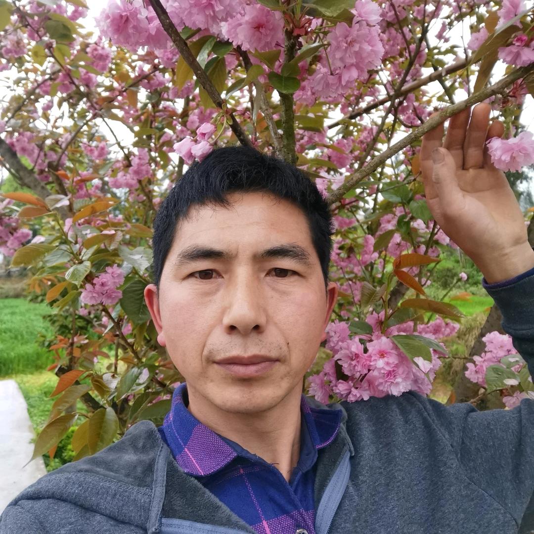 流动酒席一条龙服务，麻将，新彩篷出租，