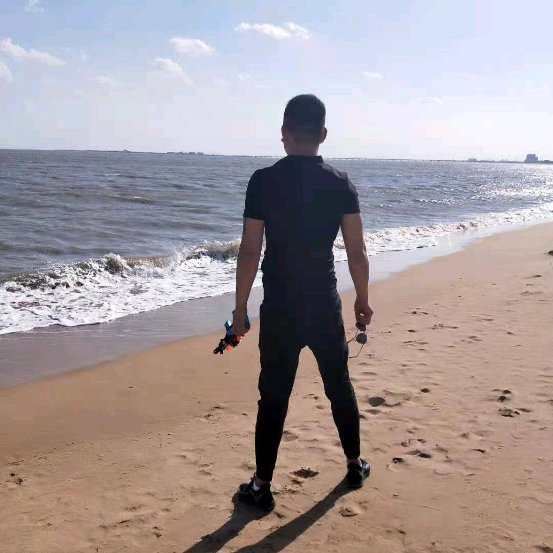 海阳大鹅