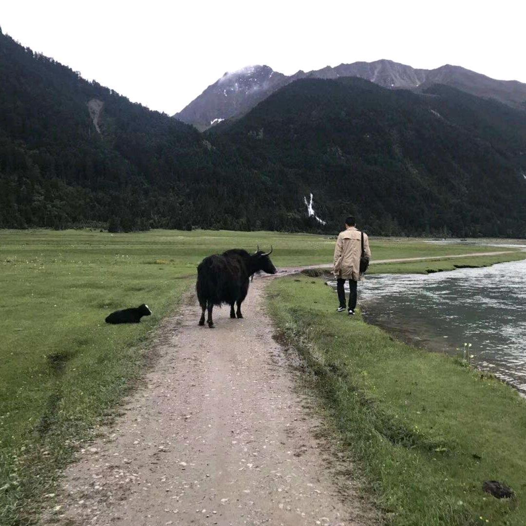 洒脱人💨