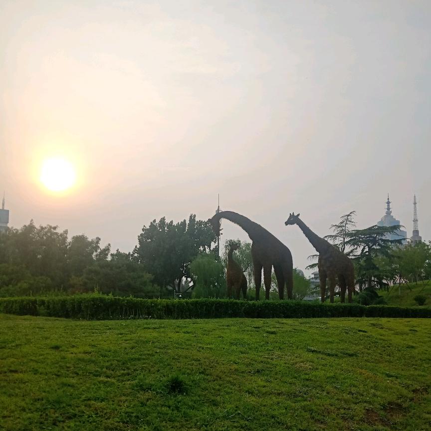 阿星～666